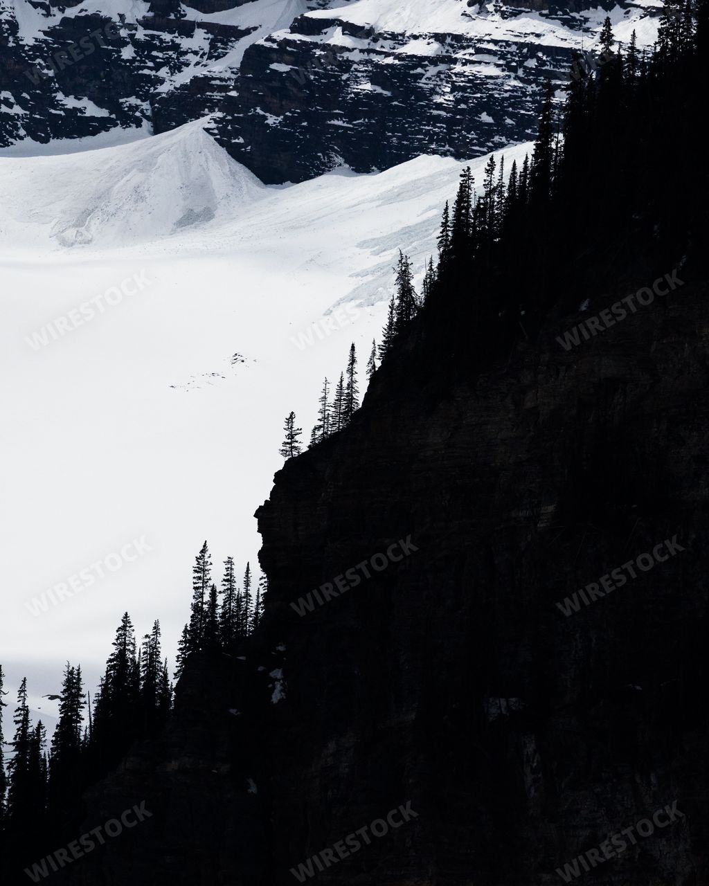 The steep mountainside covered in pine trees in Banff Canada