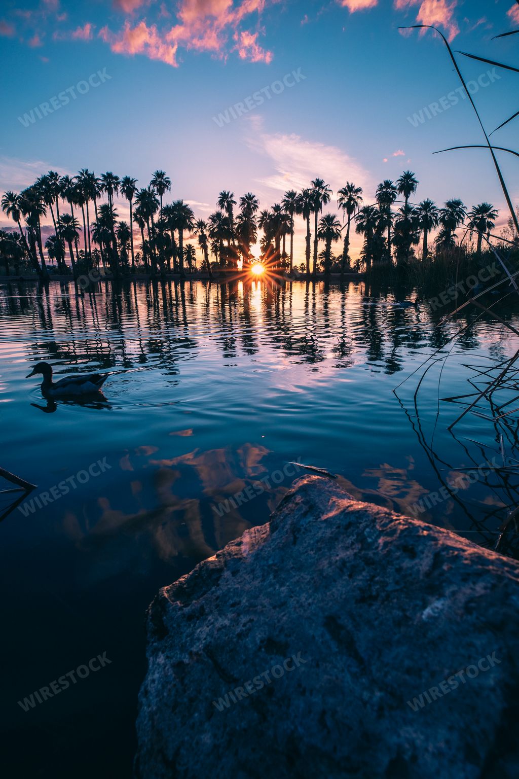 A vertical shot of a beautiful sunset over Papago Park in Phoenix, Arizona