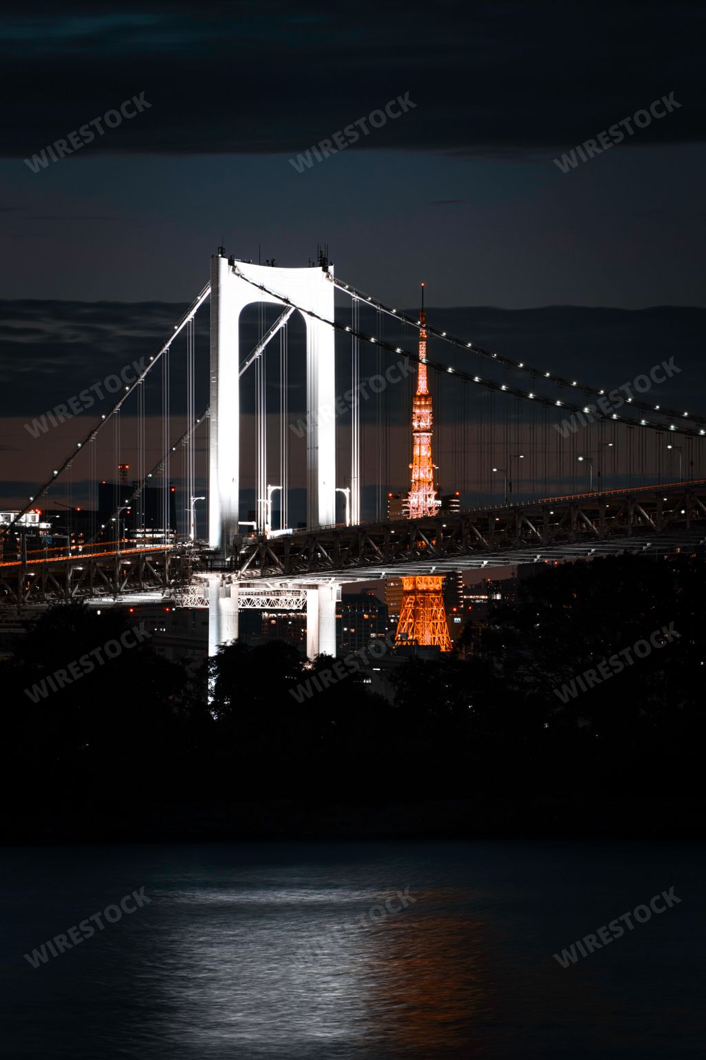 A vertical shot of the Statue of Liberty in Odaiba area, Tokyo, Japan at night