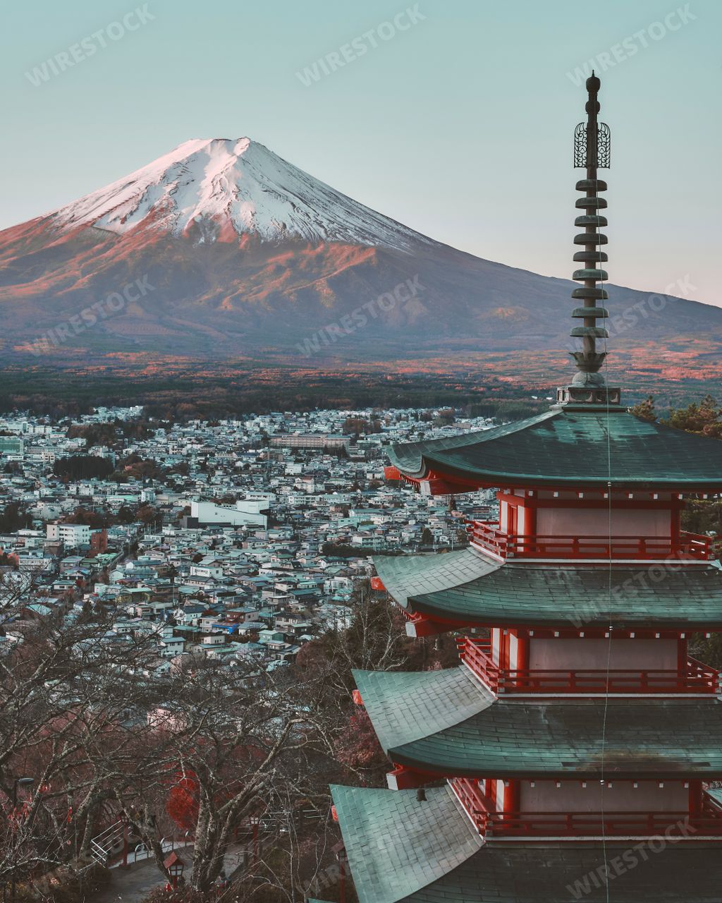 A vertical shot of a Chureito Pagoda in the background of the Fuji mountain in Japan.