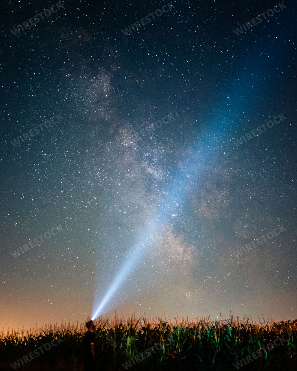 A vertical shot of a traveler in a cornfield under the starry night sky