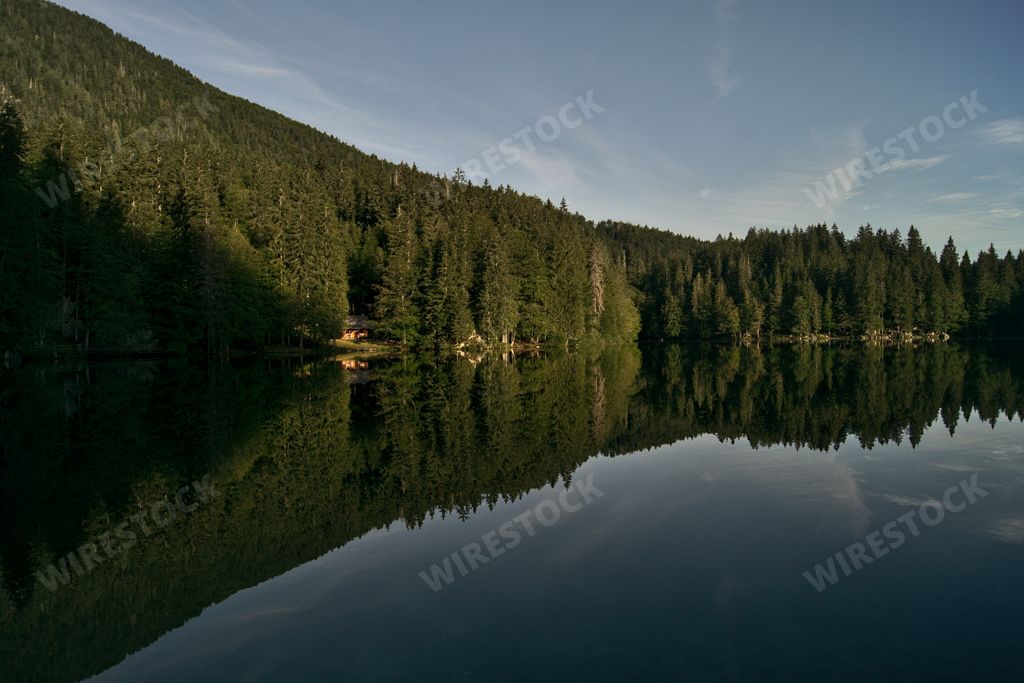 A closeup of a small pond surrounded by trees in Dolomites