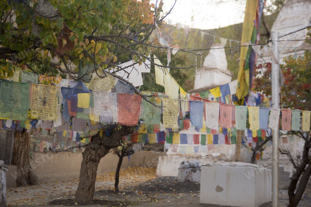 tibetan flags hanging from a buddhist temple in ladakh, india