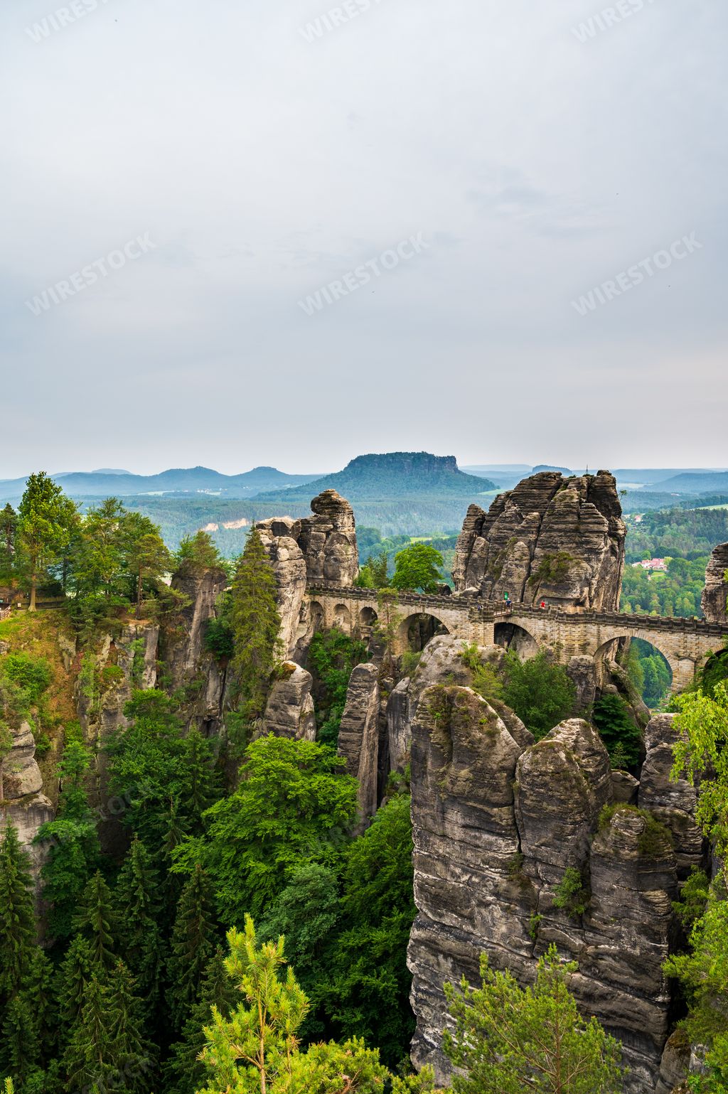 A vertical shot of the Bastei Bridge surrounded by greenery on Saxon Switzerland, Germany