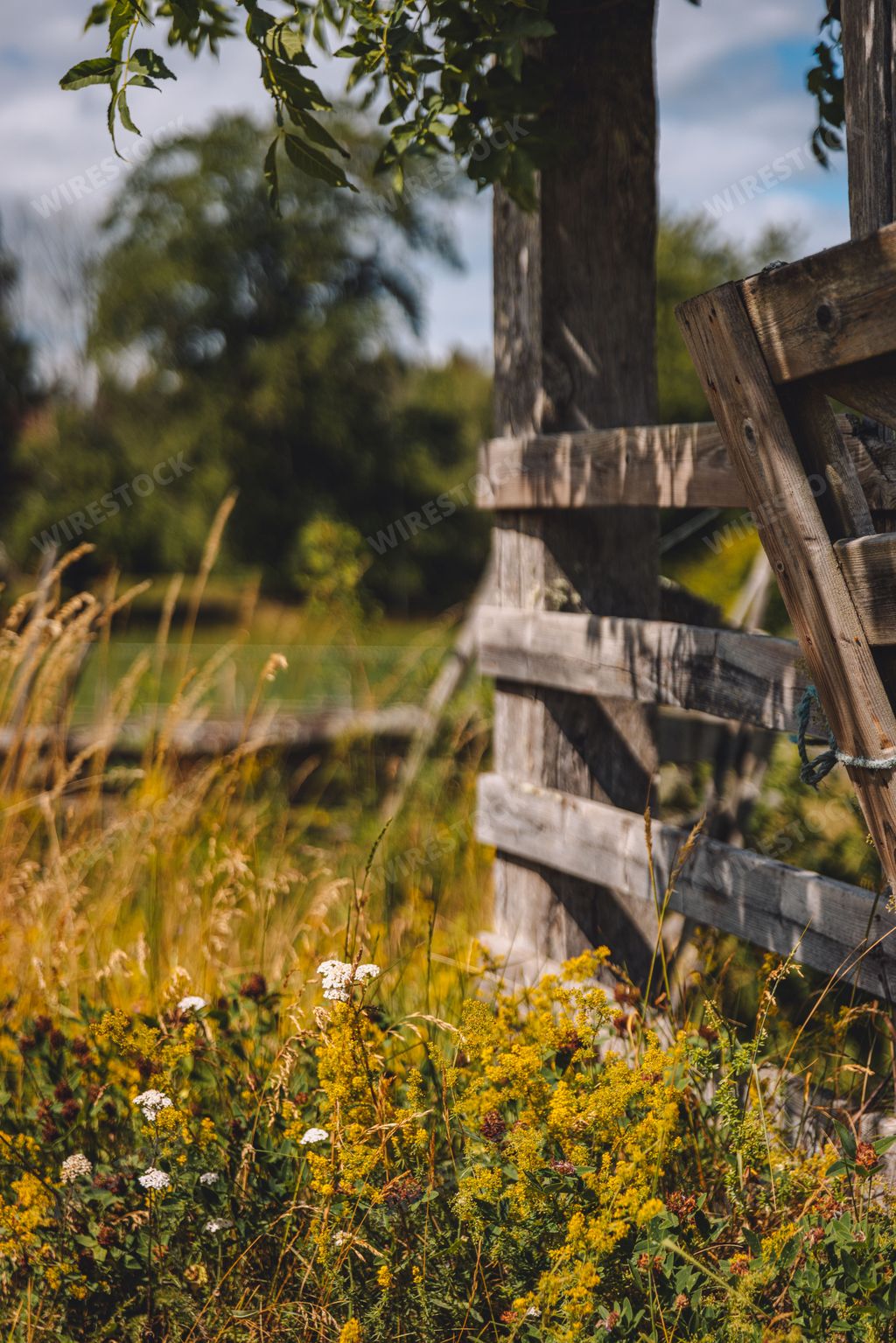 A vertical shot of a rural wooden fence in a garden in Sweden