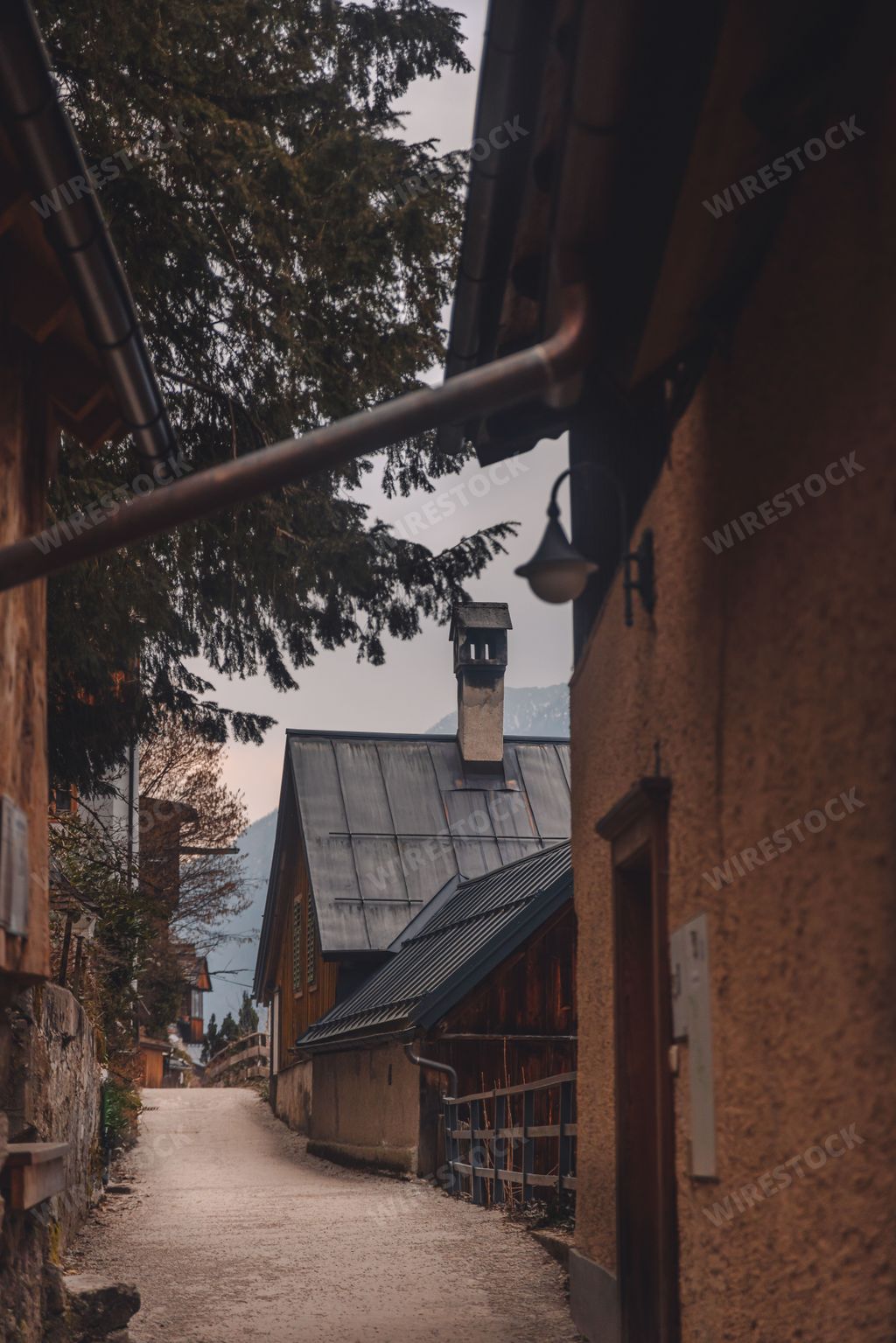 Wooden traditional chalets in Hallstatt street in Austria with trees, vertical shot