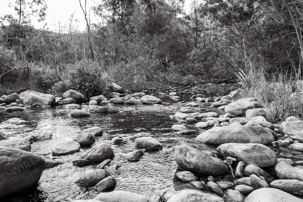 An AI generated illustration of A man strolling by a rocky stream with water below