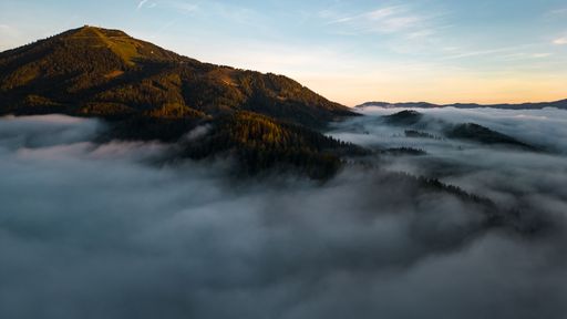 Daytime view of forests with pine trees and with mountains in the ...