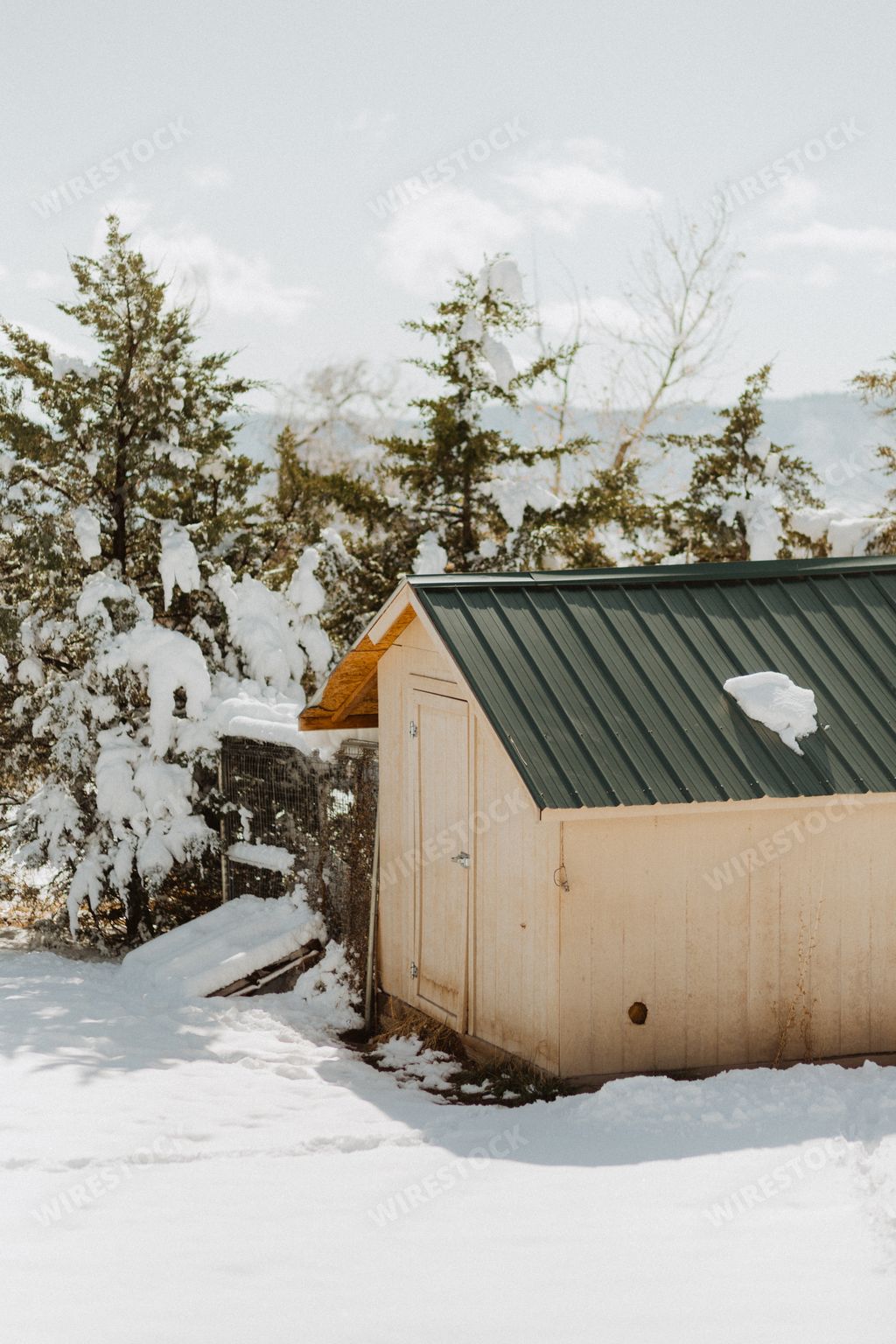 A vertical image of a shack surrounded with snow and a few trees during winter