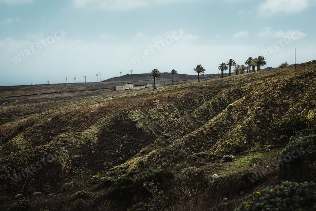 Landscape of Valle de Malpaso in Lanzarote, Canary Islands with palm trees and windmills