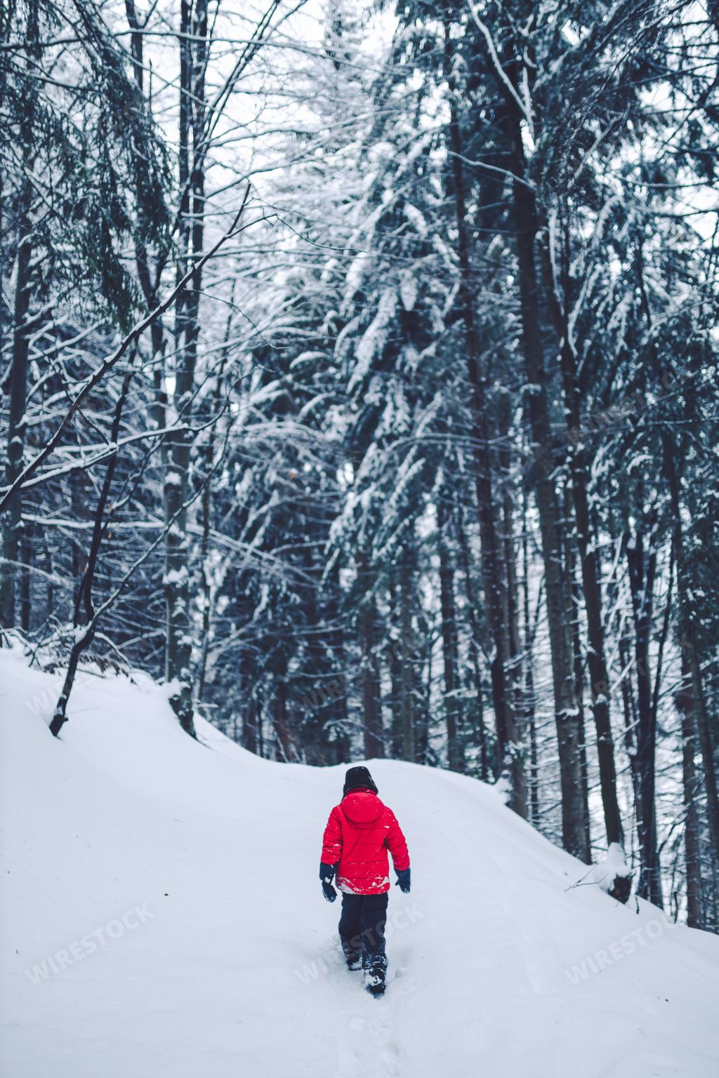 A silhouette shot of a man walking alone on snow in the forest during winter. Banska Bystrica, Slovakia