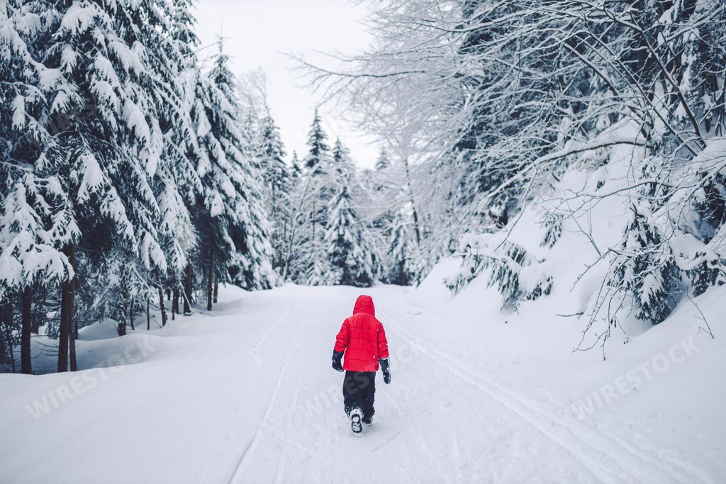 A silhouette shot of a man walking alone on snowy road in the forest during winter. Banska Bystrica, Slovakia