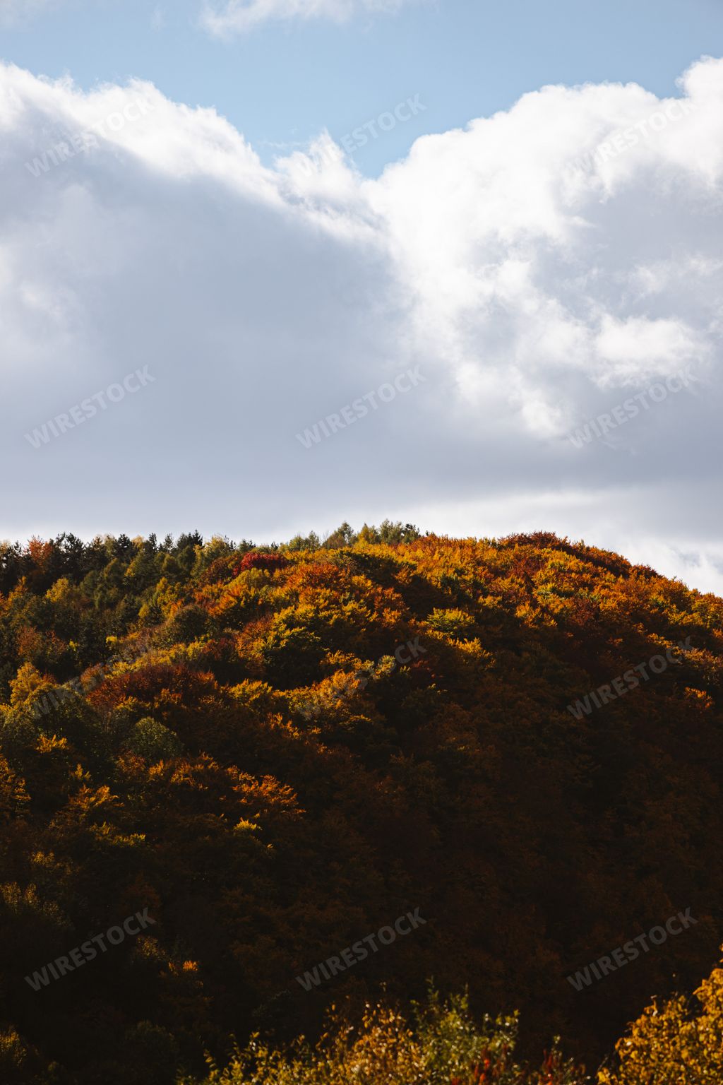 Scenic portrait of the Urpin Hill in Banska Bystrica, Slovakia during ...