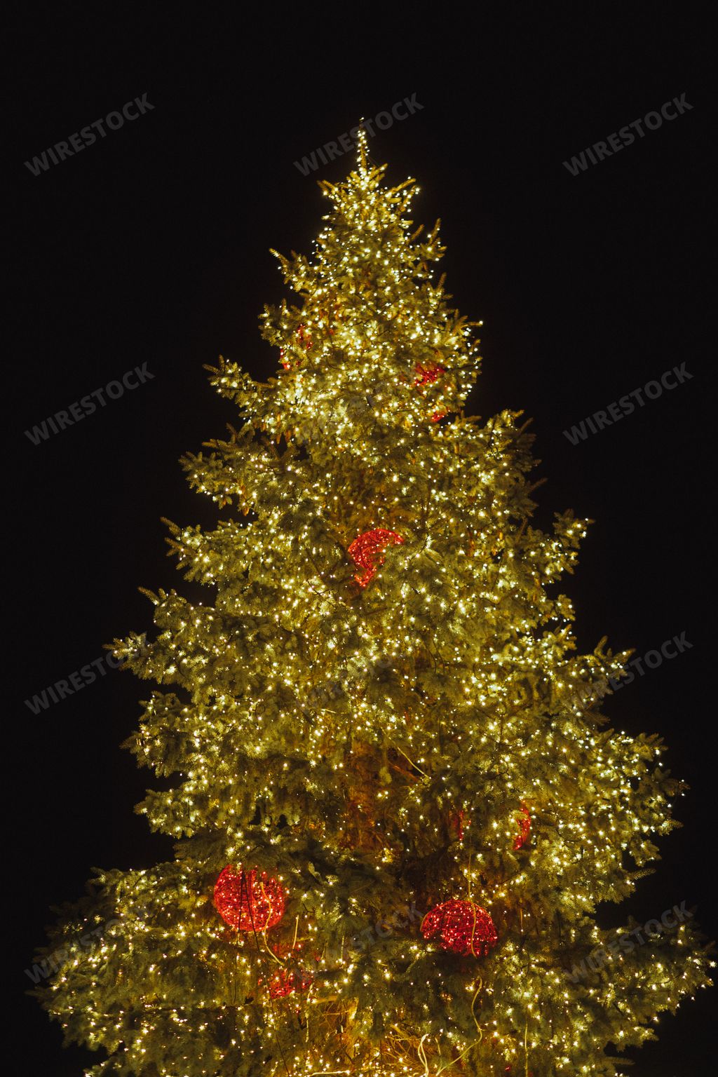A low angle shot of a beautiful Christmas tree on a Banska Bystrica city square