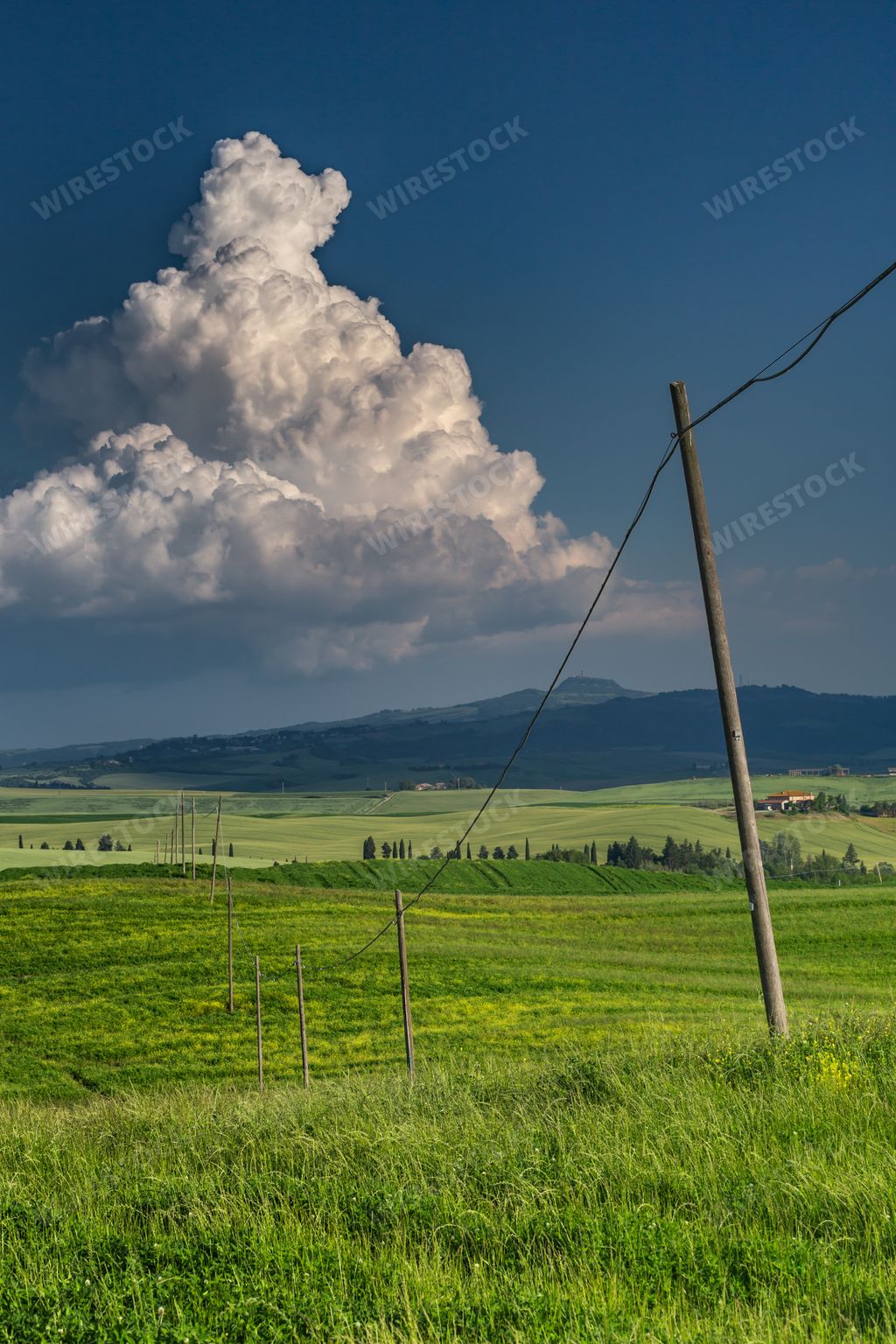 A vertical shot of a green field with hanging wires in val d'orcia tuscany italy with mountains and cloudy blue sky in the background