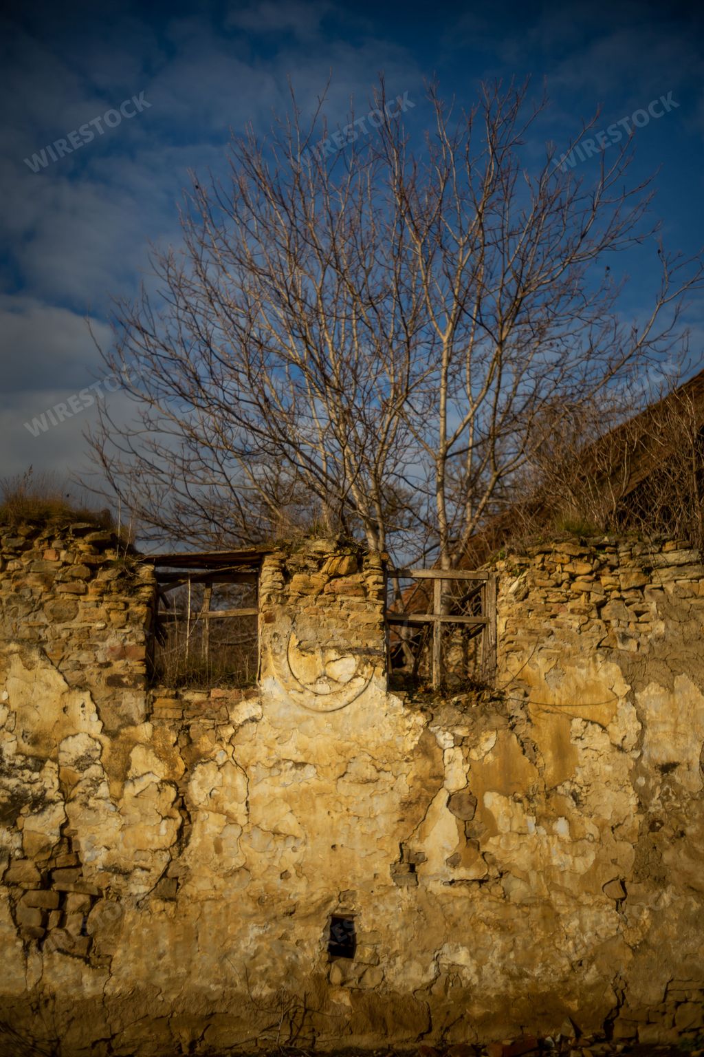 A closeup of a ruined wall of an abandoned house with bare trees