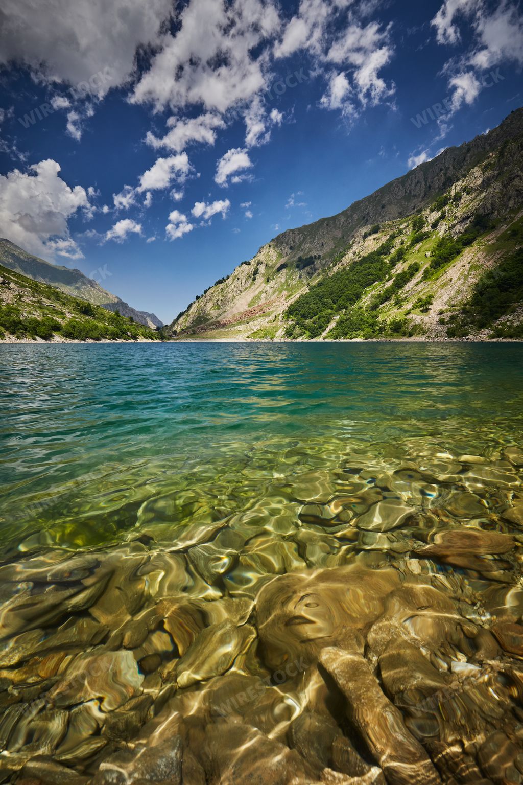 A vertical picture of the sea surrounded by rocks covered in greenery under the sunlight