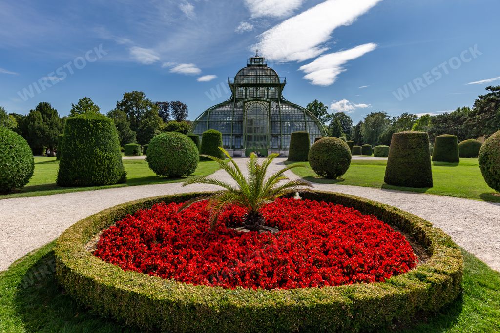 A beautiful botanical garden of schönbrunn palace in vienna, austria