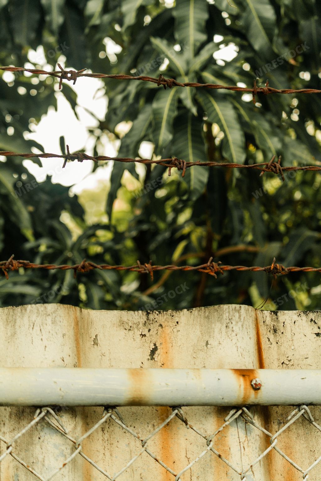 A vertical closeup shot of barbed wire and a rusty fence in a park