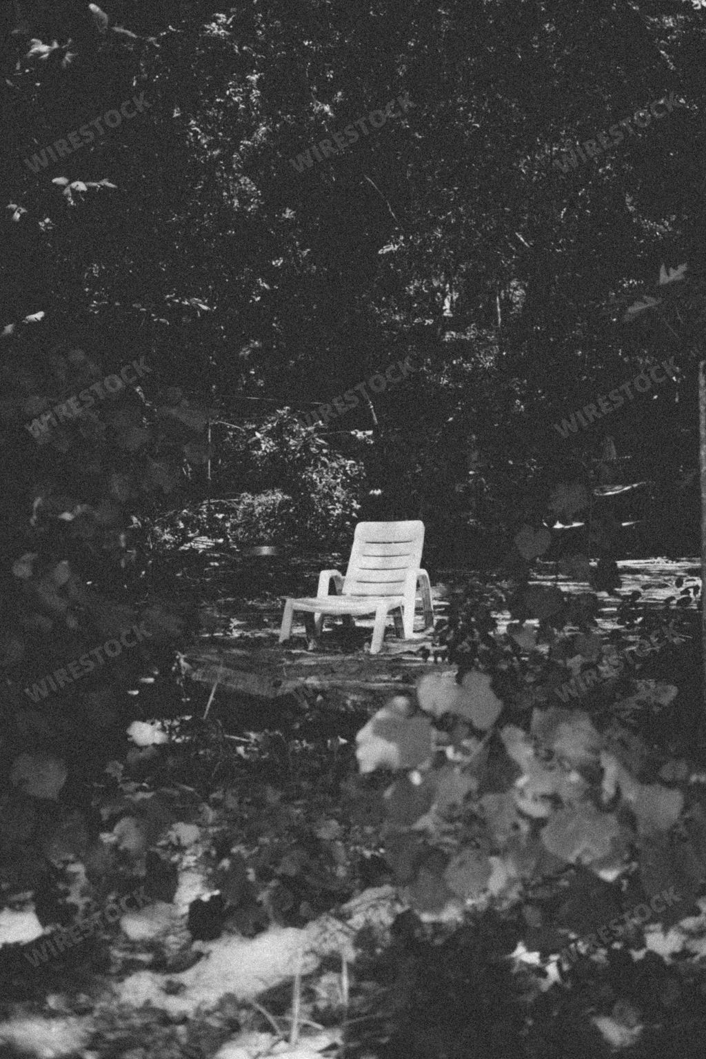 A vertical grayscale shot of a lonely sunbed surrounded by trees.