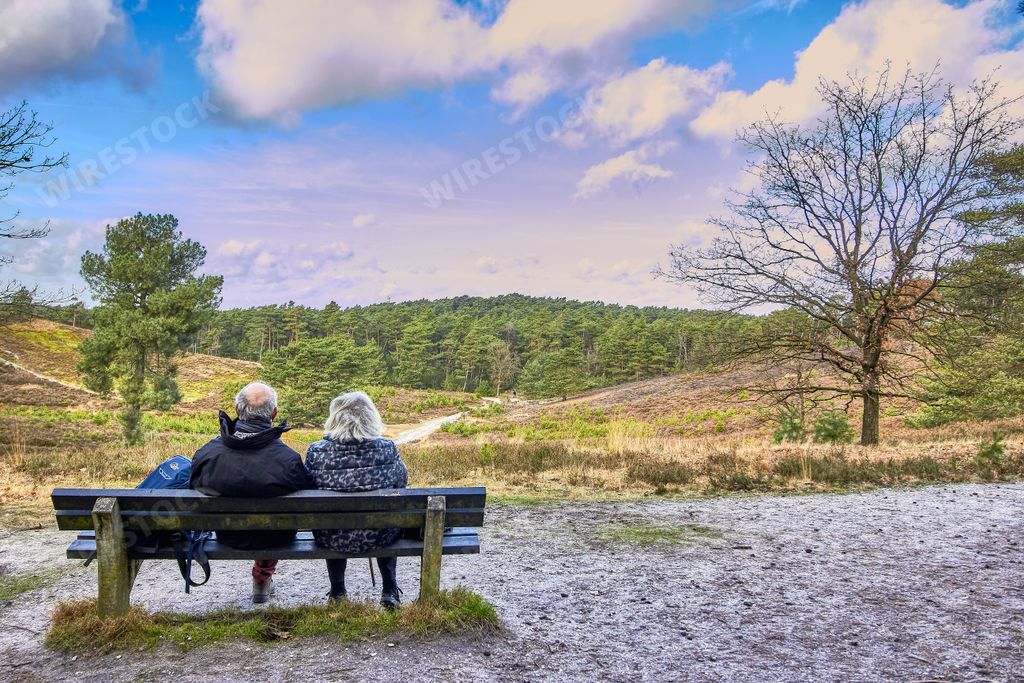 A back shot of old couple sits on a bench and enjoys the view in the brunssummerheide, Netherlands
