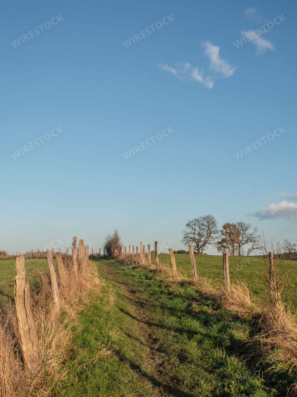 A vertical shot of a grassy pathway along a wooden fence in the countryside