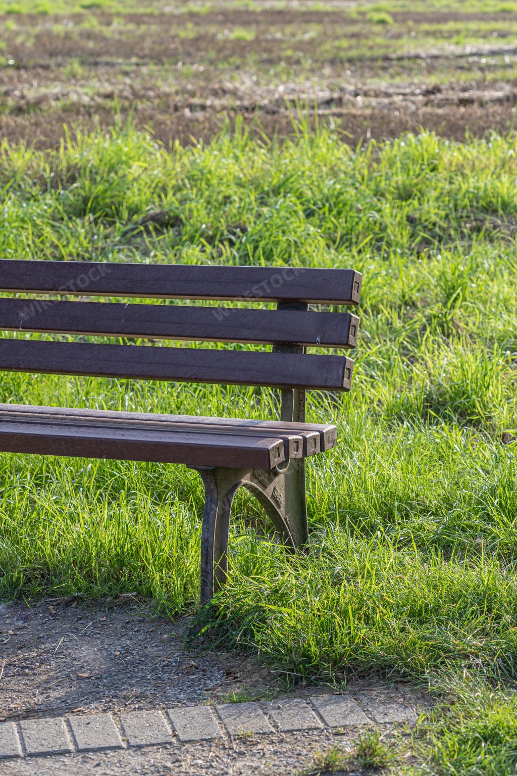 A wooden bench in green grass