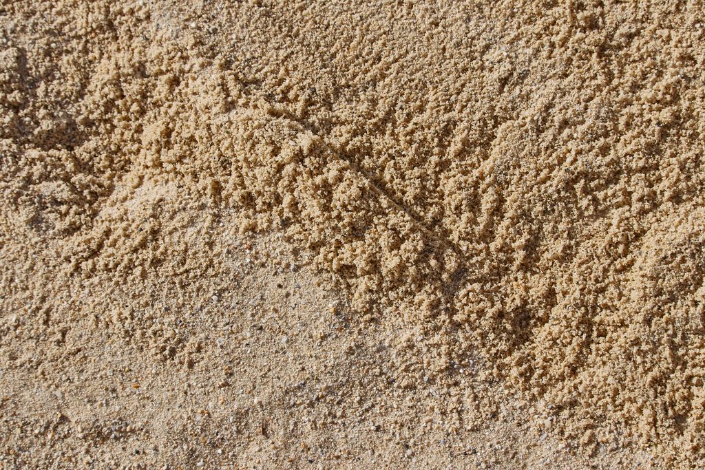 A closeup shot of sand with small grains and particles