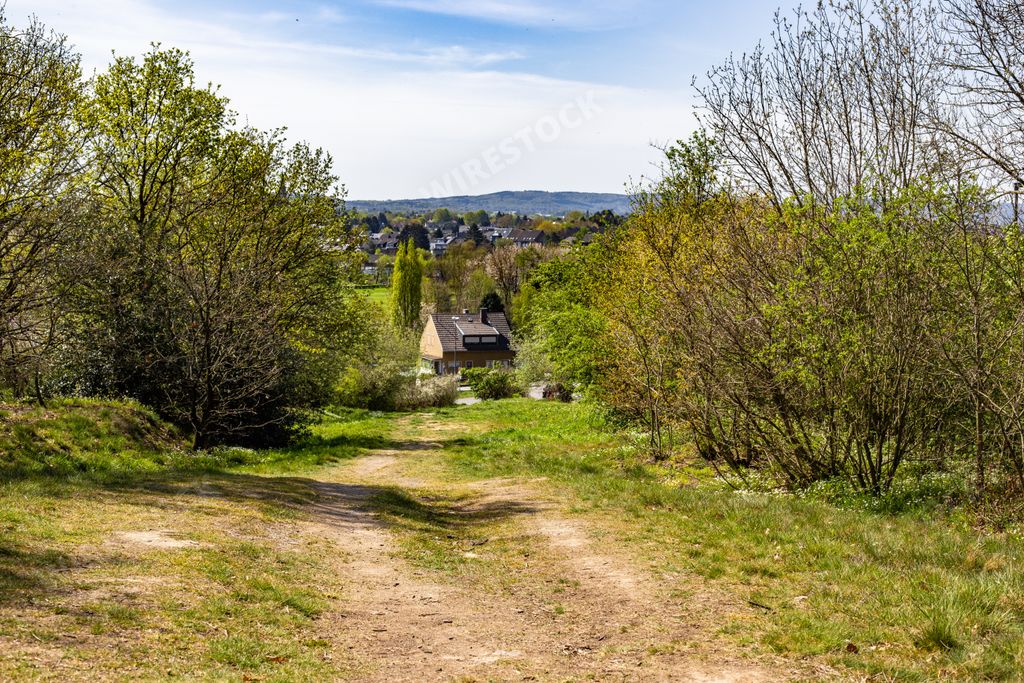 A narrow pathway in a green land surrounded by a lot of trees with houses in the background