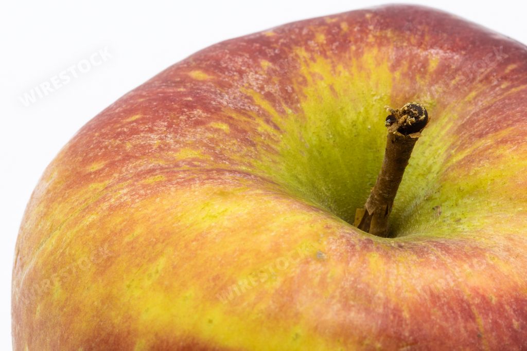 A closeup shot of the stem of a ripe fresh apple isolated on a white background