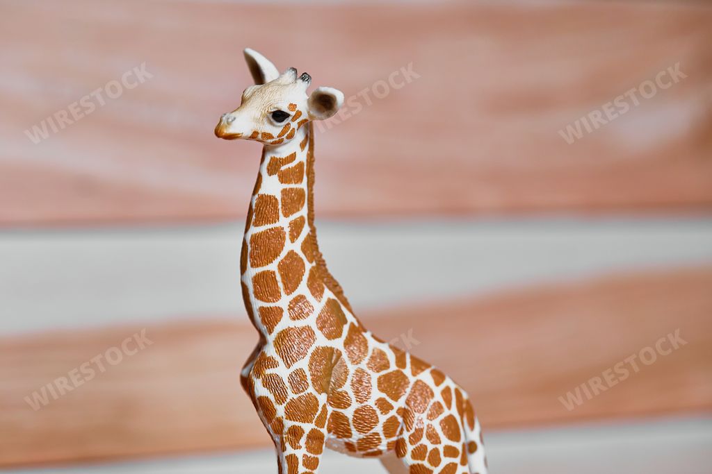 A giraffe figurine from Schleich Wildlife collection