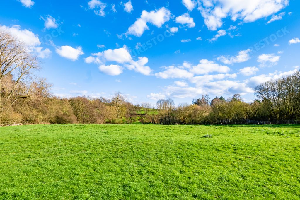 A vast green valley with a blue sky during daytime