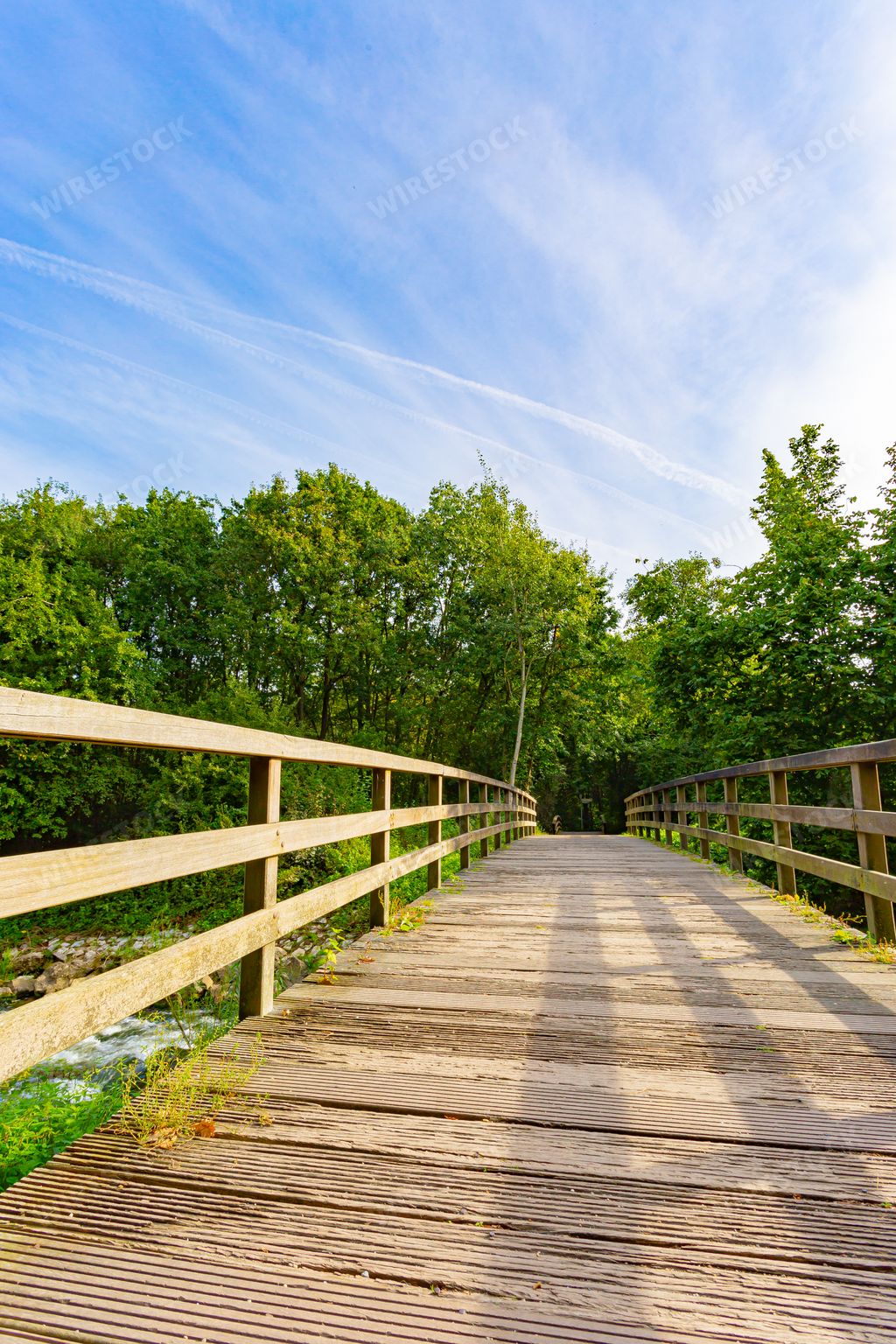 A wooden pedestrian bridge in a forest