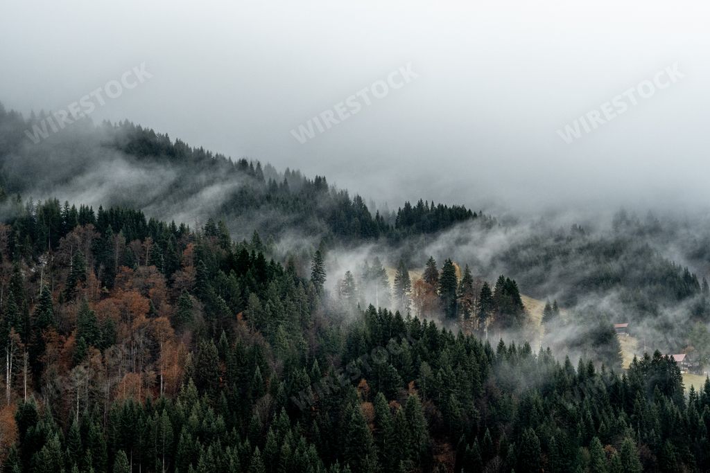 An aerial view of misty clouds floating over a forest in the Austrian Alps
