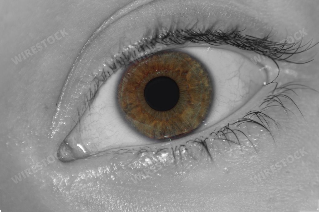 A grayscale closeup of a human eye, with a colored iris.