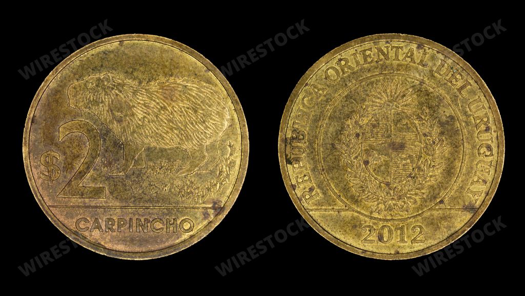 A close-up of a 2012 Uruguayan 2 peso coin with a capybara and the national emblem