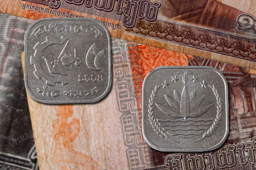A closeup of Bangladeshi Taka poisha coin