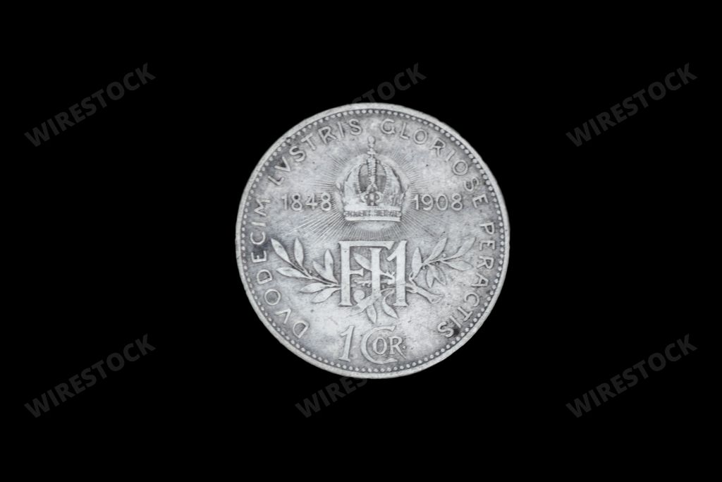 The Vintage Austria - Hungary coin
