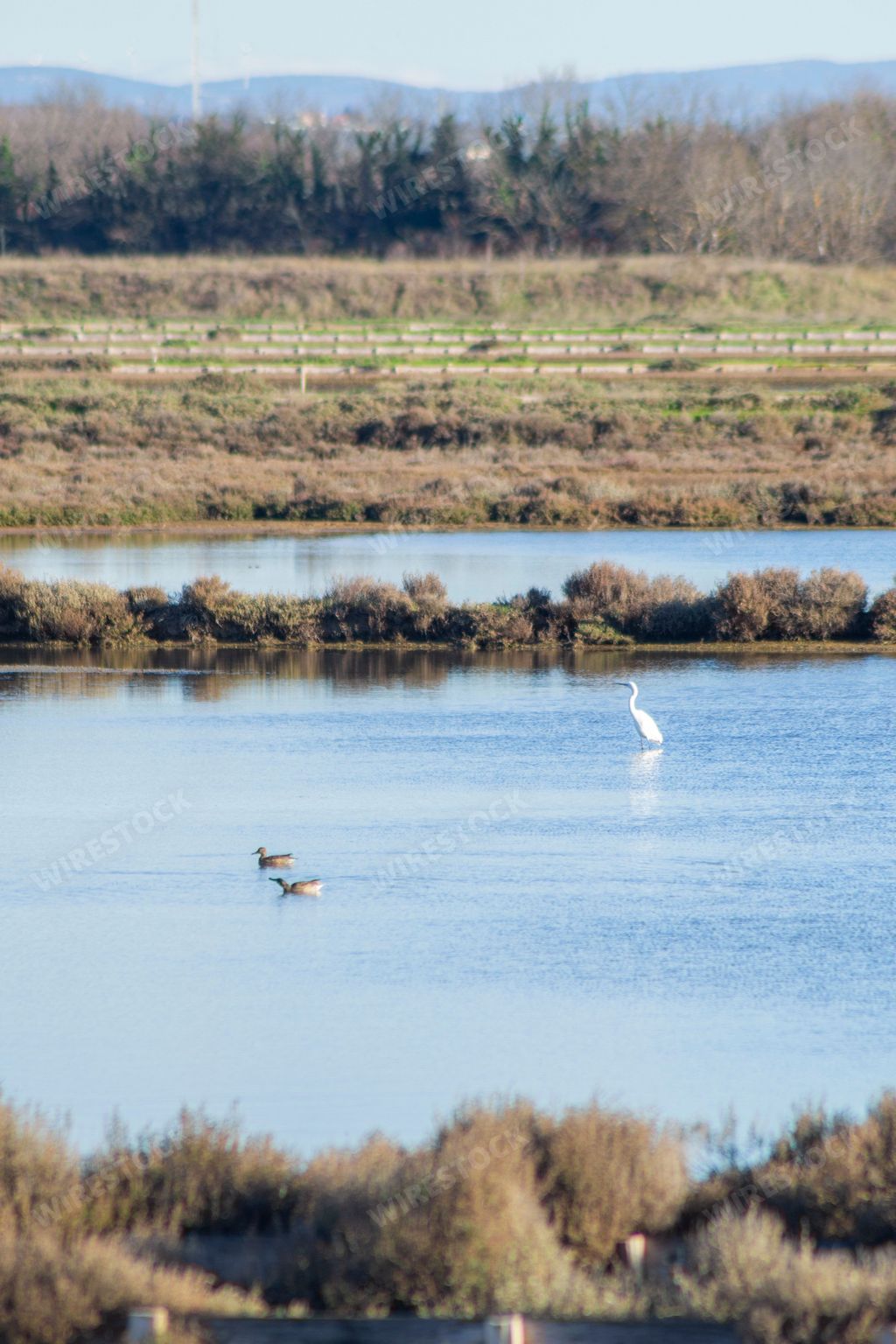 A vertical shot of saltworks with birds visible in the evaporation ponds, Nin, Croatia