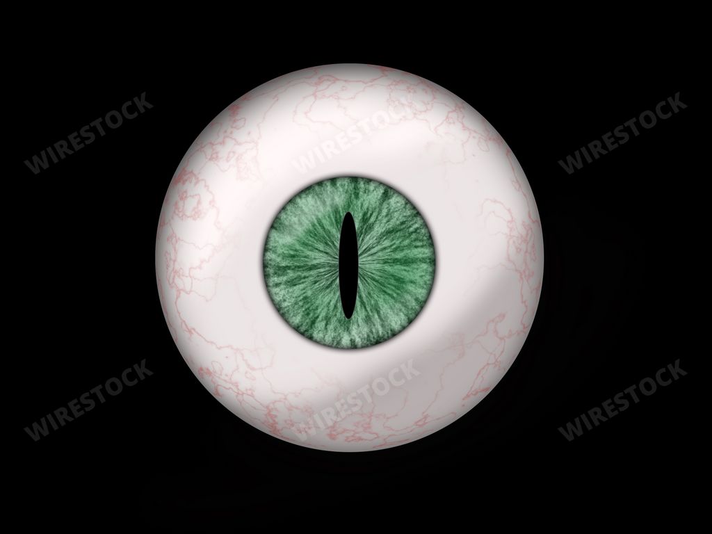 A snake or dragon eyeball on a black background