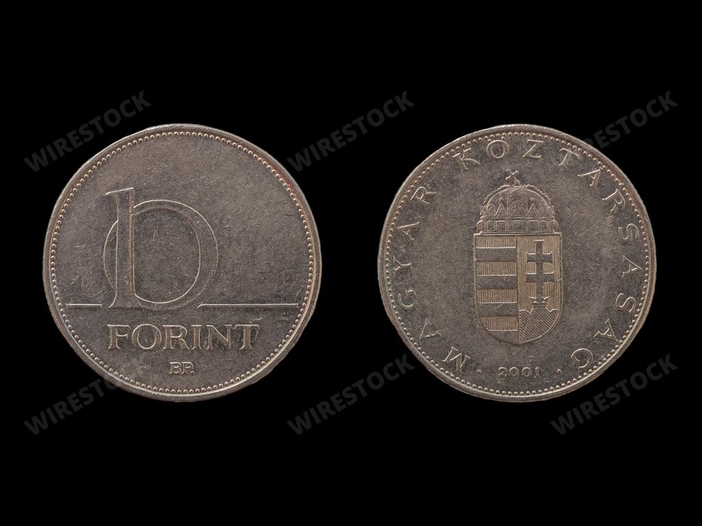 A closeup shot of Hungarian forint coins on a black background