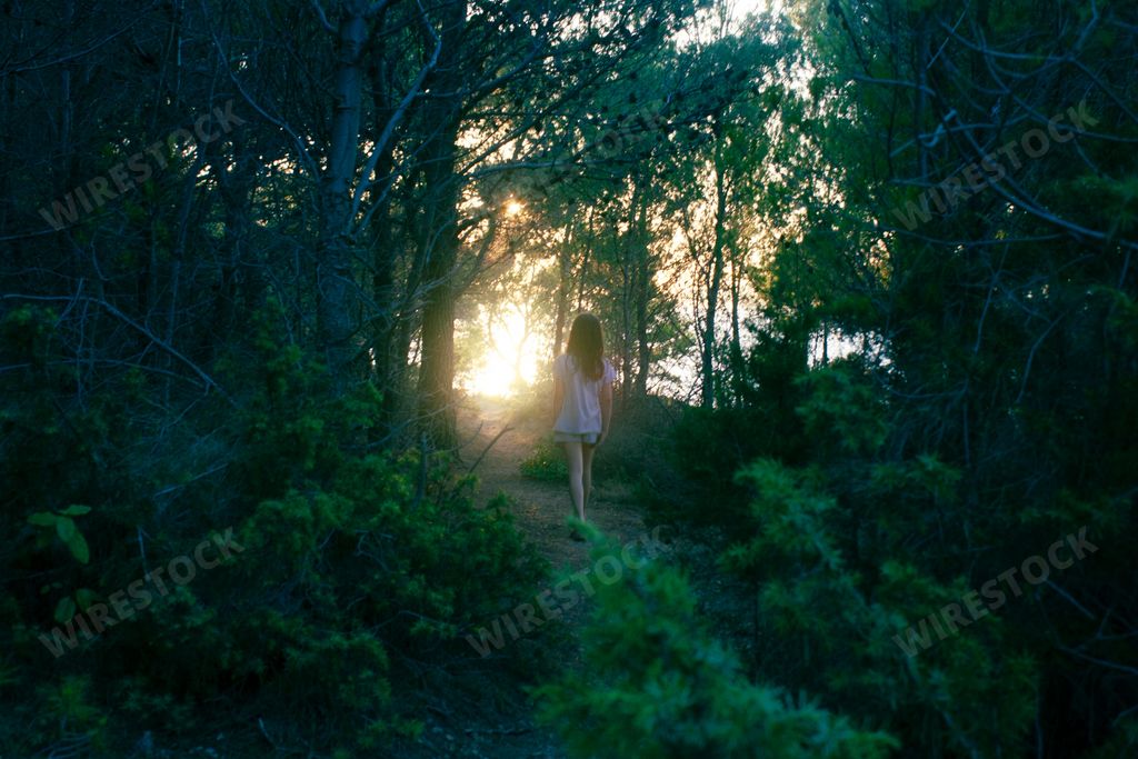 A little girl walks through a pine forest towards the light at sunset