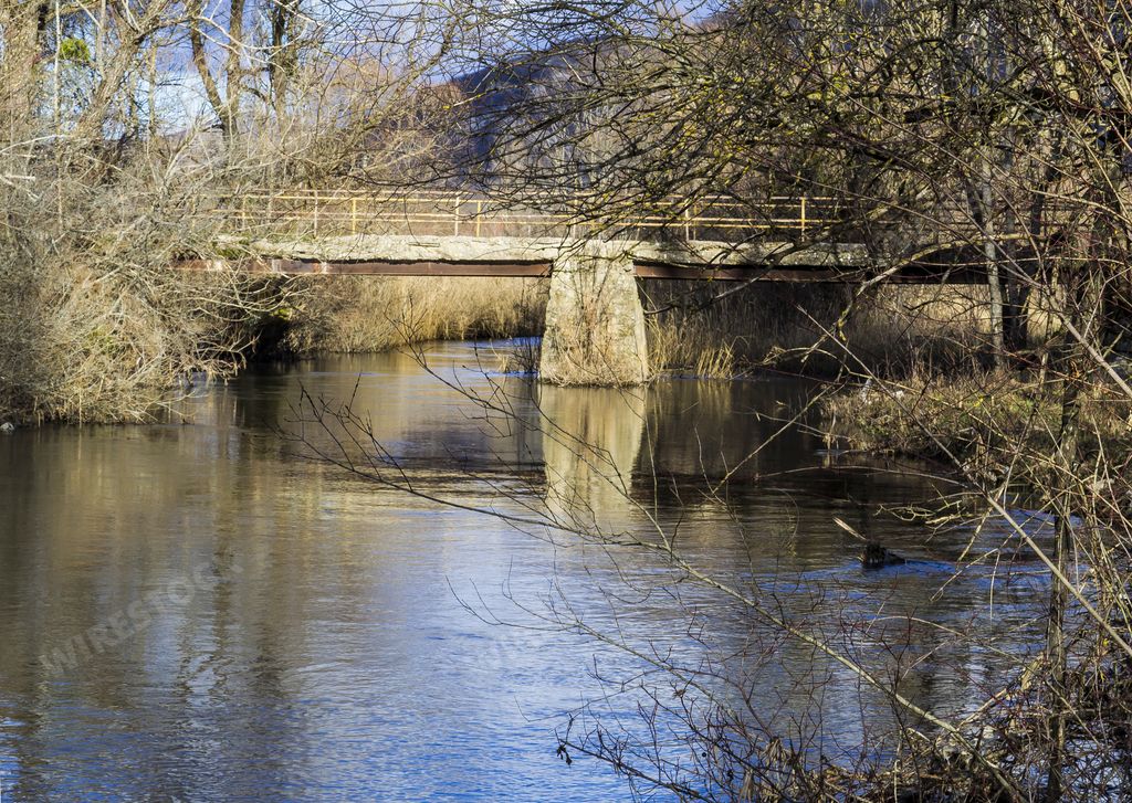 A beautiful shot of beam bridge over a narrow river  surrounded by trees and branches