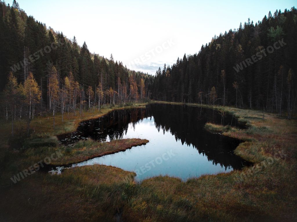 A scenic view of a lake surrounded by a green pine forest