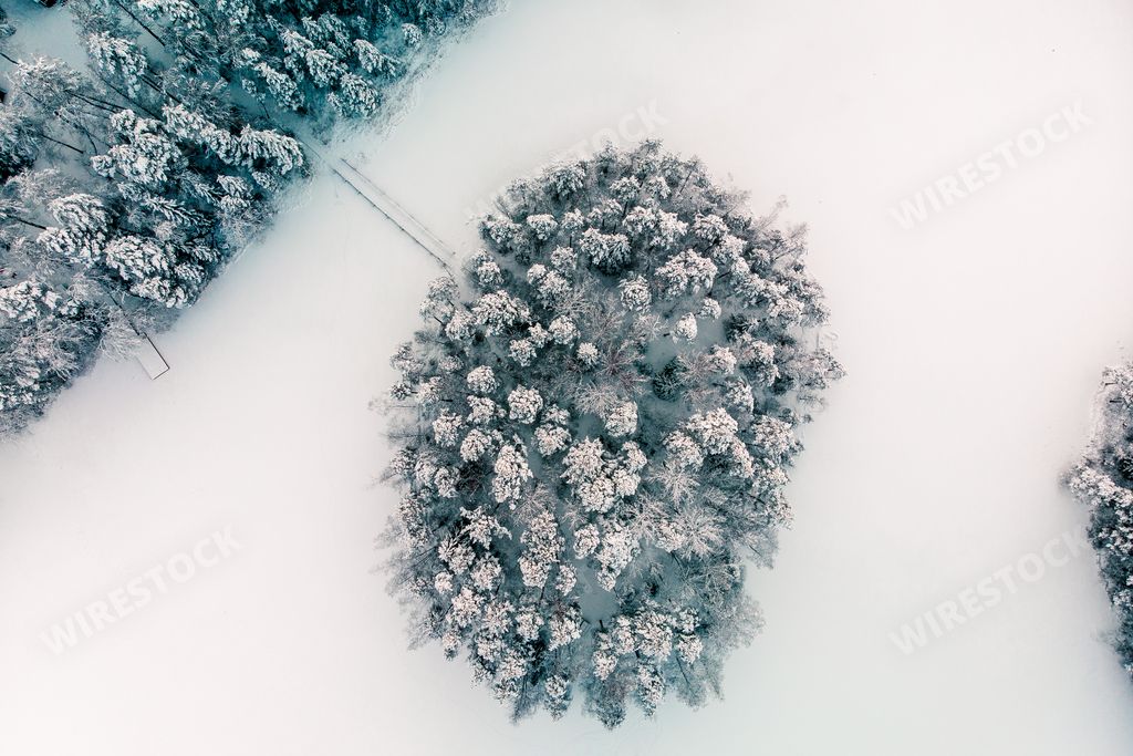 A bird's eye view of fir forest covered in snow