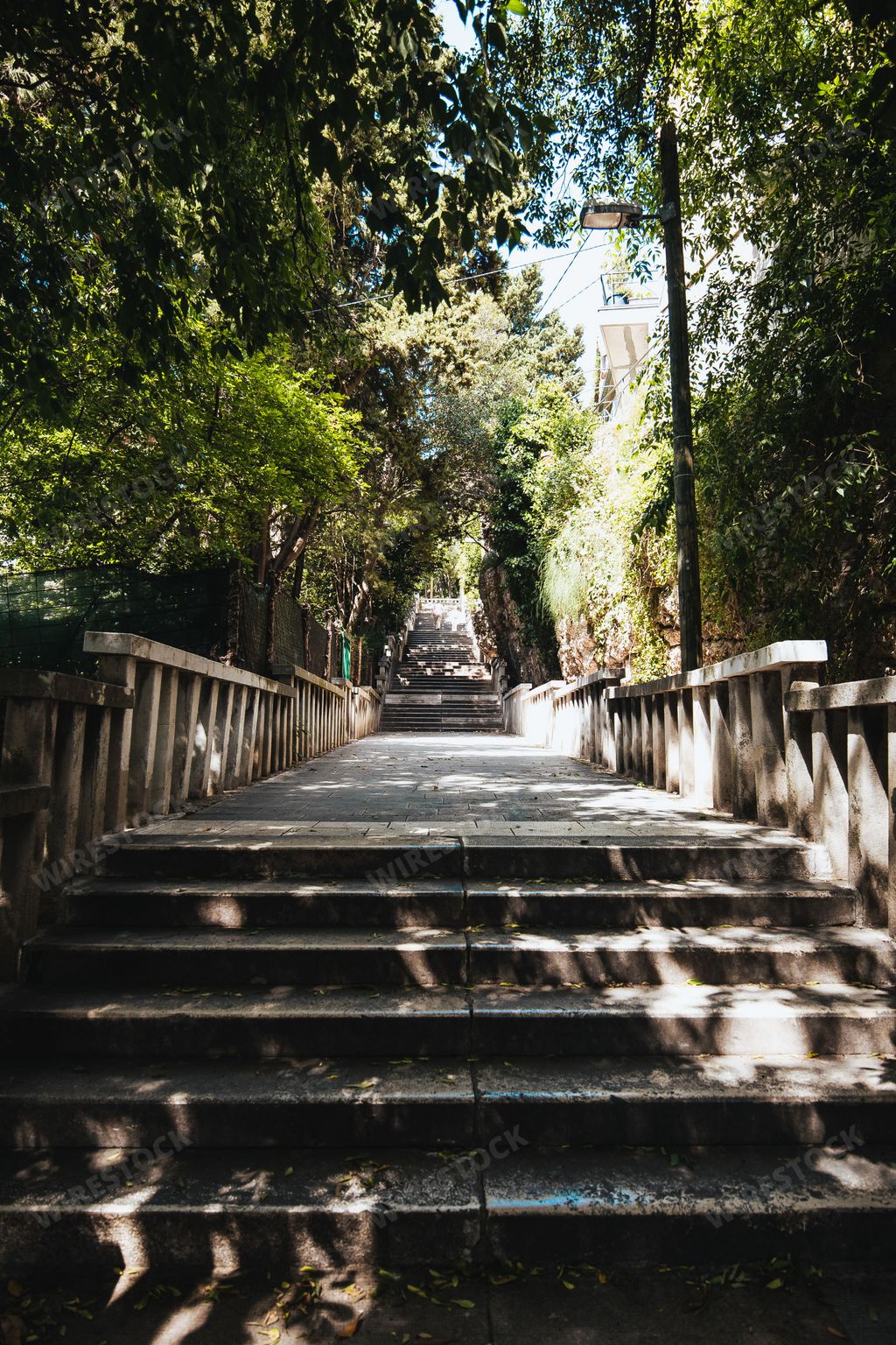 A vertical shot of stairs surrounded by green trees in Park Suma Marjan in Split, Croatia