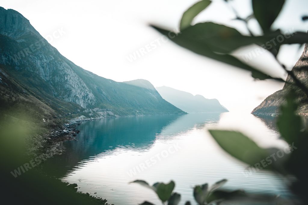 A beautiful view of the tranquil lake seen through blurred leaves
