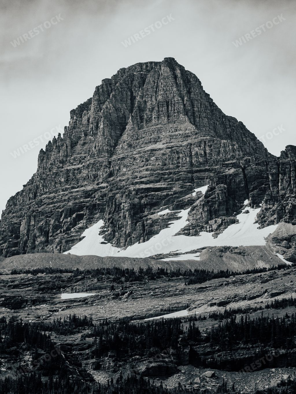 A vertical grayscale shot of Glacier National Park on Montana Mountain