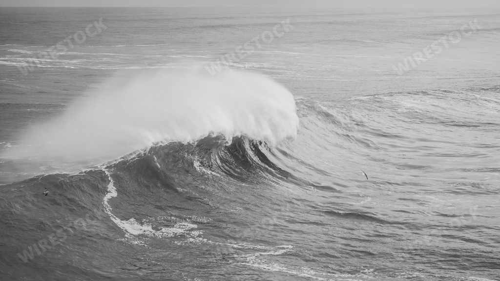 A grayscale shot of a big sea wave