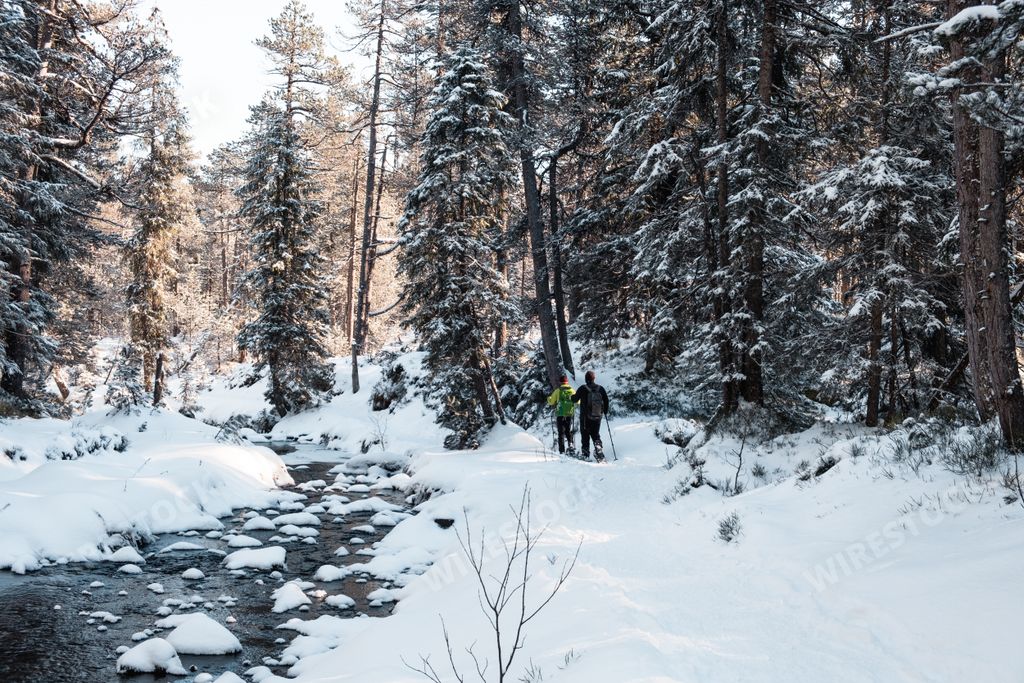 Two people walking through the snowy forest during daytime